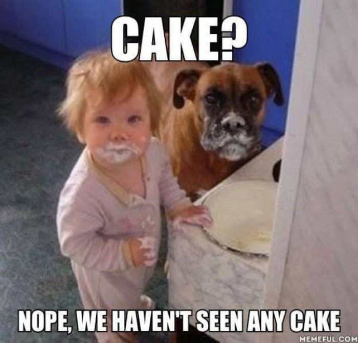 Cake-meme – LaVack Fitness Blog